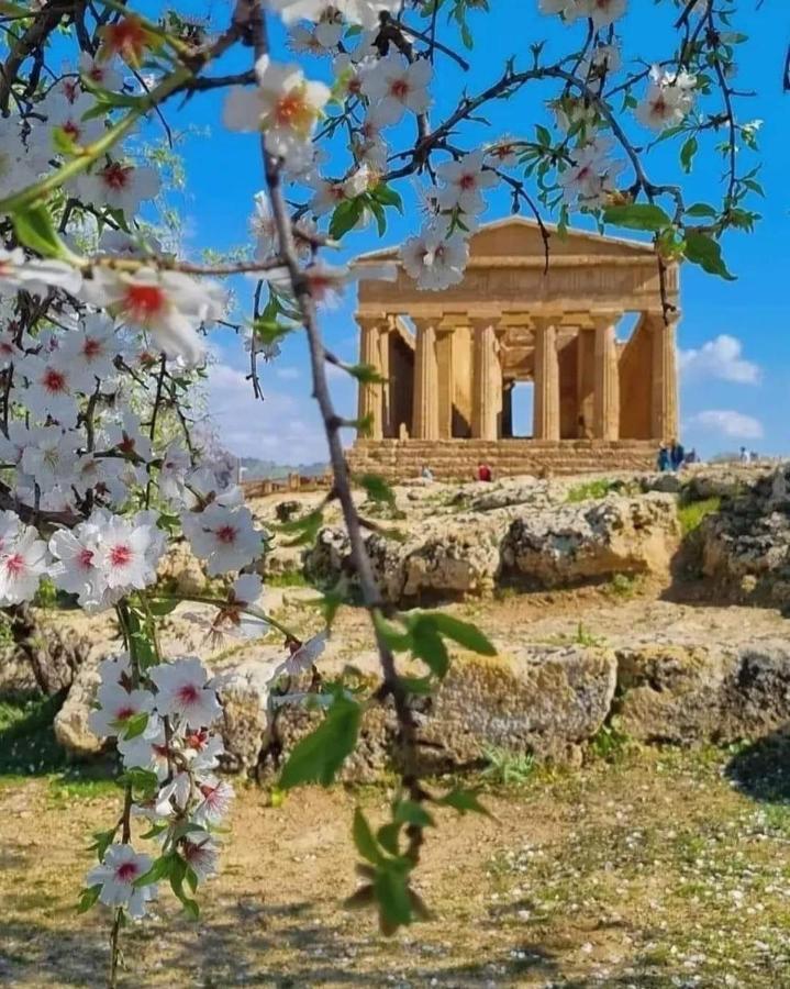 Casa vacanza Rosariomaria Realmonte Esterno foto